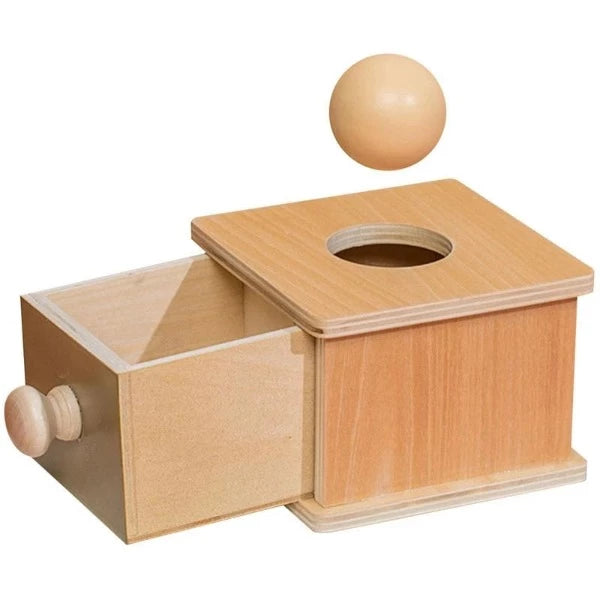 Wooden Toy Montessori Ball in Box